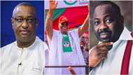 Atiku: Dele Momodu mocks APC chieftain over call for EFCC to arrest PDP candidate