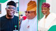 Adeleke's re-election: Why Osun voters looked beyond party loyalty, Senator Ojudu explains