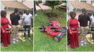 "I thought it was a car": Video shows moment parents presented mowing machine as 18th birthday gift to son