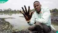 Nanotechnology breakthrough raises hope of long-standing Niger Delta environmental damage