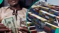 CBN sets new customs exchange rate to clear goods, importers to pay more