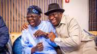 US-based Nigerian doctor files fresh suit to delay Tinubu's inauguration, drags ex-President Jonathan to court