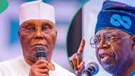 Certificate saga: Why Atiku’s CSU evidence is inadmissible, Tinubu explains to Supreme Court