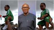 Tension hits Obidients' camp as child activist drags Peter Obi, Labour Party to court