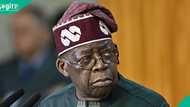 Tinubu requests fresh $1Bn loan from World Bank, gives reasons