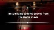 25 best Blazing Saddles quotes from the iconic movie