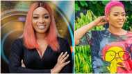 BBNaija: Beatrice reveals Maria is manipulative, Liquorose isn't smart and Whitemoney is the best in the house