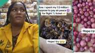 "You did well": Woman collects N1.5 million flight money from her husband, uses it to buy foodstuff