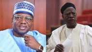 New twist in Senate presidency race as odds favour Senator Sani Musa