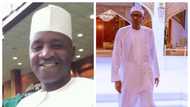 Dan majalisar APC ya ce Buhari na da rauni, ko Aisha ta fi shi kuzari, an bukaceshi yayi murabus