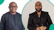 2027 election: Did Davido endorse Peter Obi? Fact emerges