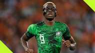 Libya coach questions injured Osimhen’s impact in Super Eagles squad