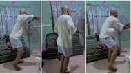 Girl runs away as dad in grey shorts scatters house with very nice acrobatic dance, stunning video goes viral