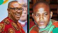 Breaking: NDC 2027 presidential candidate Obi declares what he will do to Nnamdi Kanu, bandits