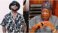 Davido trolls Lai Mohammed over comment about Nigeria becoming safer, reacts to his expensive wristwatch