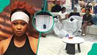 BBNaija 2025: Panic as housemates run for safety after finding disturbing item inside fridge