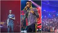 Wizkid shut down world's biggest gaming event, Gamers 8 Esports in Saudi Arabia, video trends