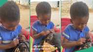 Talented little girl dutifully plaits hair of mannequin, netizens praise her impressive skills