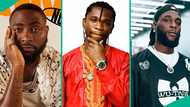 “All that energy I wasted on Davido, I should have channelled it on Burna Boy”: Speed Darlington