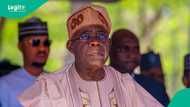 'Gwamnatinka ta jefa talakawa a masifa,' Kungiyar Yarbawa, Afenifere ta soki Tinubu