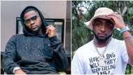 "It hurts": Fans think of Davido as Kizz Daniel shares sad experience after losing his son, video trends