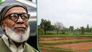 "Keep it": Reactions as Nigerian man gets N80m offer for land he acquired in 2000 at N250k