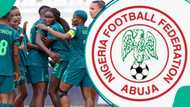 NFF and Super Falcons star deny bribery claims over WAFCON 2026 selection