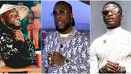 Davido reportedly becomes most followed African artiste, beats Wizkid and Burna Boy with huge gap