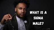 Interesting facts about the Sigma male: Definition, traits, famous Sigmas