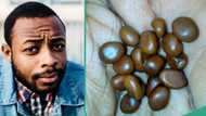 "Never seen this before": Photo of 'strange' seeds found in dead man's bag goes viral online