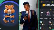 Hamster Kombat launch date: 4 things Nigerians should know about the trending Telegram game