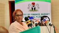 Buhari's minister announces FG's plan to pay Nigerians transport allowance