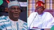 “Economic sabotage”: Atiku slams Tinubu’s $24 billion borrowing plan, makes urgent demand