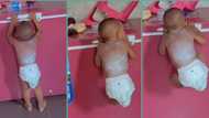 "Plan didn't work": Little boy gets stuck halfway while trying to climb freezer, funny video trends