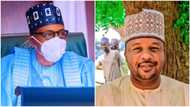 You are confusing bandits: Ganduje’s ex-aide, Yakasai reacts to Buhari’s warning to abductors