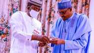 Matawalle: Why the attraction to APC is strong - Buhari reveals