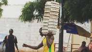 Man shows incredible strength & skill as he walks on wet ground while carrying loads of eggs on one arm