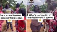 Drama as Nigerian mum returns for her child 7 years after she abandoned him, grandma refuses to release him