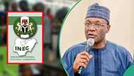 OndoDecides2024: INEC uploads 85.66% of results to IREV portal, details emerge
