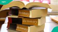 US dictionary adds 1,400 new words including glow-up, looksmaxxing and meme coin