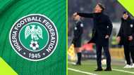 NFF names former Leverkusen manager as new Super Eagles coach