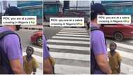 He wasn't informed: White man shocked as cars refuse to stop for him at a zebra crossing in Lagos, shares clip