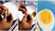 "Double blessing": Man peels boiled egg, discovers another one inside, posts stunning clip on TikTok
