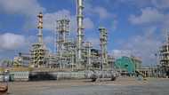 Suriname poised for cash inflow from newly discovered oil