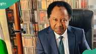 Shehu Sani discloses what Nigerian ladies should do instead of spending 2 months on BBNaija