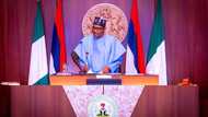 President Buhari reveals those allegedly harassing his government