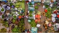 Inflation rate hit 18.17% in March, highest rate in four years