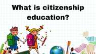 What is citizenship education? Definition, types, importance