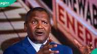 Dangote plans world’s largest refinery: Expansion to hit 1.4 million barrels per day
