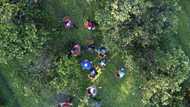 For Argentine farmers, Milei's free-market reforms fall short